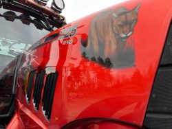 2010 Case IH 225 Puma CVX - Image 23