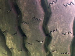 2013 DAF XF FAN 105510T - Image 26