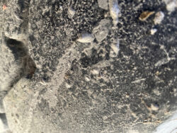 2016 Scania R 580 - Image 12