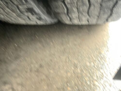 2019 DAF XF 530 - Image 12