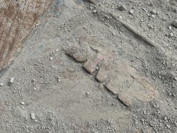 2019 CAT Okänt - Image 74